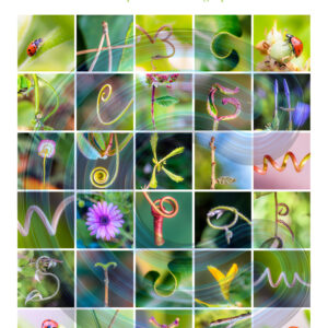 Poster Alphabet