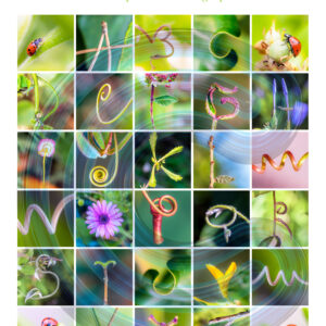 Poster Alphabet